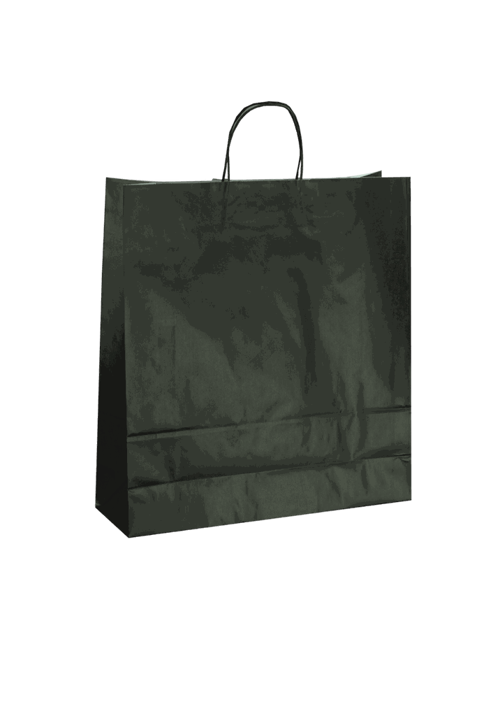 Bolsa de Papel Negra con Asa Rizada 22X10X29 CM - 25 Unidades