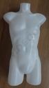 040335-Maniquí-busto-de-hombre-en-plástico-blanco-tridecor