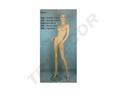 Postura de Maniquí Femenino de Fibra de Vidrio Color Carne