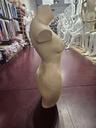 Busto de mujer Sin Cabeza Y Brazos de Color Carne