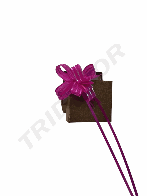 Lazo Fucsia Fino con Rallas 