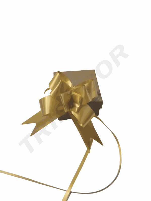Lazo Oro Ancho Color Liso