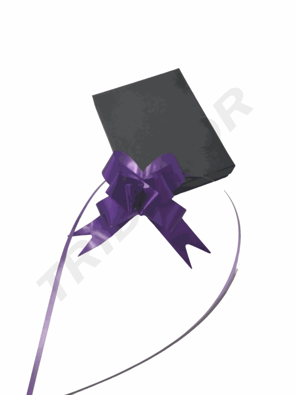 Lazo Morado Ancho Color Liso