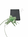 Lazo Verde Ancho Color Liso