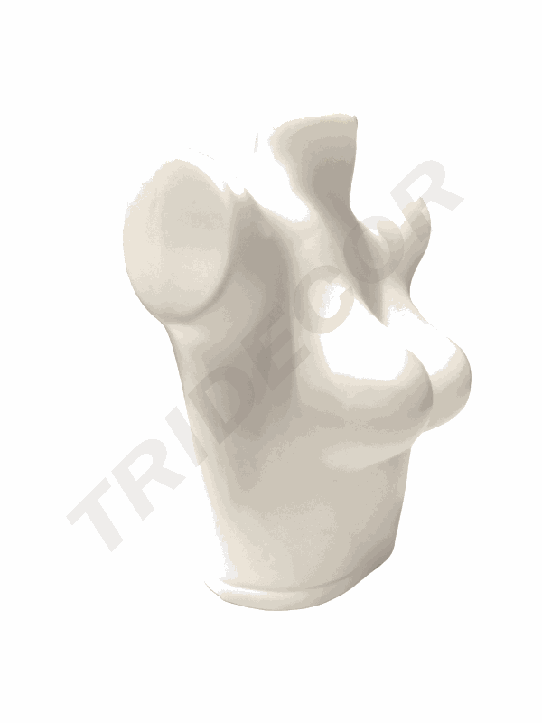 040393-Busto-superior-de-mujer-en-plástico-blanco-tridecor