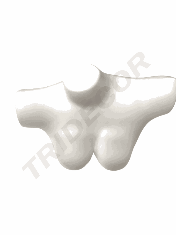 040393-Busto-superior-de-mujer-en-plástico-blanco-tridecor
