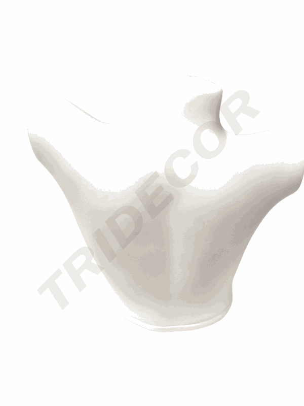 040393-Busto-superior-de-mujer-en-plástico-blanco-tridecor