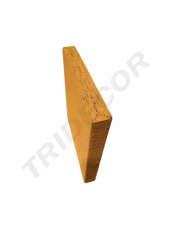 1000031256