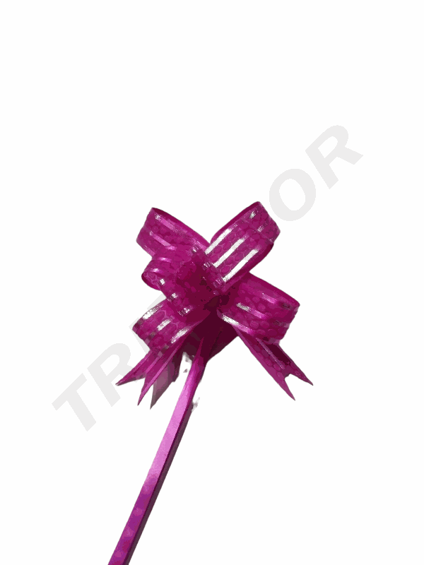 粉色条纹丝带 la zo Fucsia Fino Con Rallas 