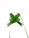 绿色细条纹丝带 la zo Verde Fino Con Rallas y Escamas