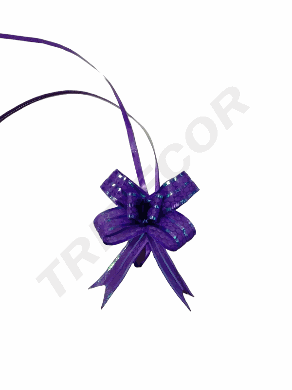 Fine Purple Bow with Stripes