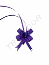 Fine Purple Bow with Stripes