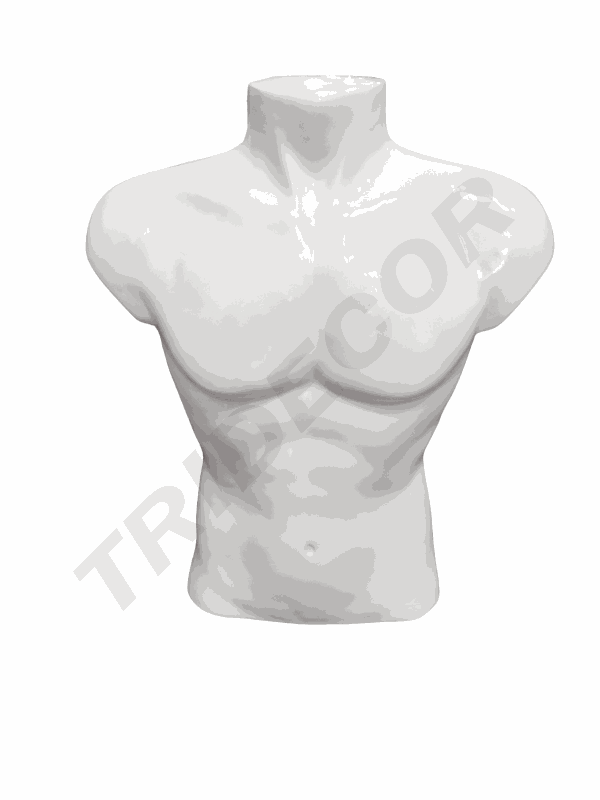 Busto De Hombre Medio Cuerpo Blanco Brillo