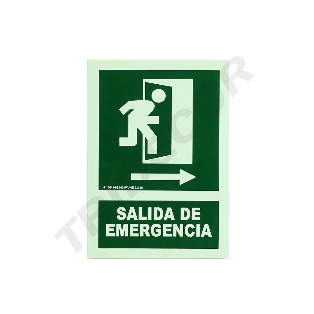 SEGNALETICA DI USCITA DI EMERGENZA 21X30 CM