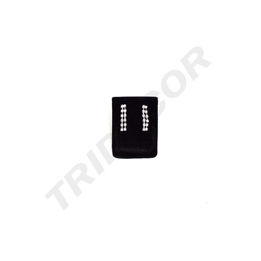 Expositor de Pendientes de Terciopelo Negro