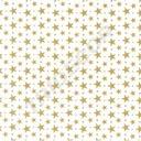 White Tissue Paper with Golden Stars 75X50cm 100 units