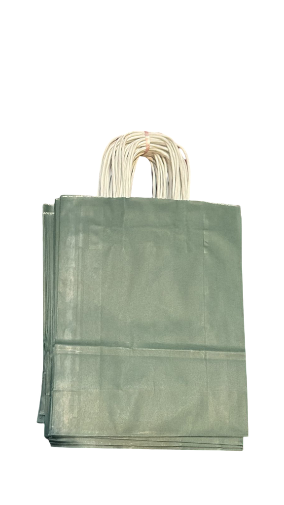 绿色卷边手提纸袋 27X22X10 厘米 25 个装