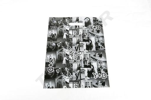 [010156] 带照片的塑料袋，带模切手柄，25X35厘米，黑白色，100个单位 2000/caja