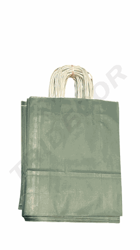 [010007] Bolsas De Papel Kraft Asa Rizada 27X22X10 Cm Color Verde