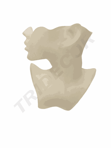 [009069] 白色项链的半边 Media Cara para Collares Color Blanco